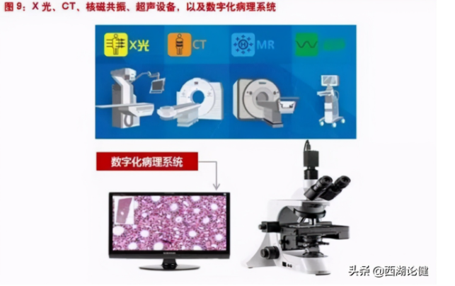 be365体育平台:医学影像智能识别：医疗与AI集合凯旋案例(图10)