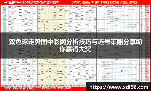 双色球走势图中彩网分析技巧与选号策略分享助你赢得大奖
